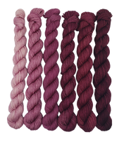 Oh My Mauve - Minis Gradient Set