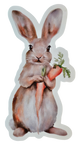 Rabbit with Carrot - Chaos Sticker